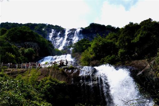 微盘走红！4.3万亿基金“爱股”浮出水面